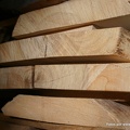 fotos de madera 29 20090911 1844216371