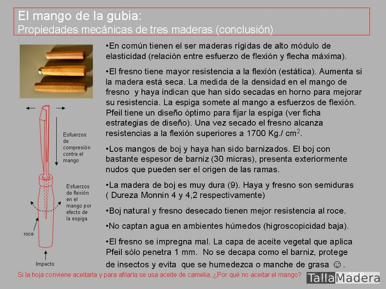 estudio_conclusiones_mango_20090811_1314295772.jpg