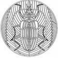 mandala-escarabajo-t4462 20090626 1649443011