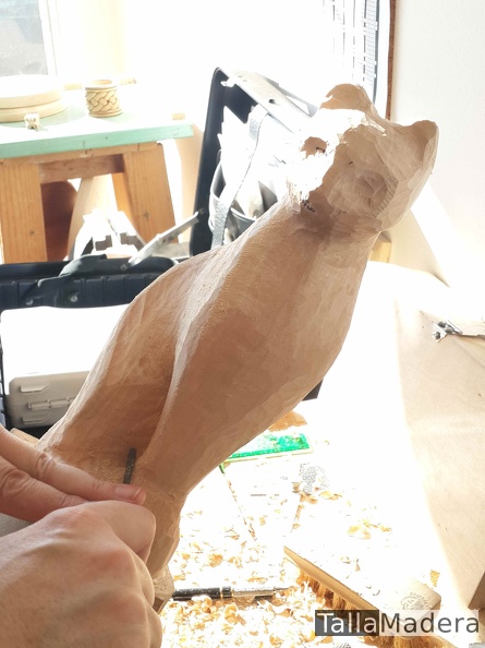Gato tallado en madera de tilo por Pemaro