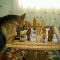 mesa de ajedrez 012 20110317 1725349735