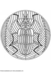 mandala-escarabajo-t4462 20090626 1649443011